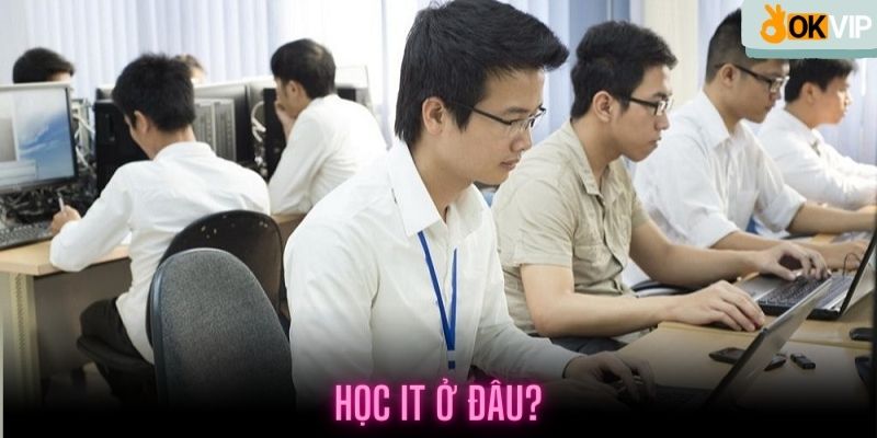 Nên tìm những trường có danh tiếng để học IT tốt hơn tại Việt Nam